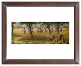 Francis William Loring, The Army of Peace