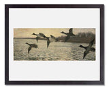 MFA Prints archival replica print of Frank Weston Benson, Early Morning from the Museum of Fine Arts, Boston collection.