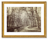 MFA Prints archival replica print of Charles Marville, Path in the Bois de Boulogne from the Museum of Fine Arts, Boston collection.