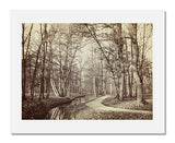 MFA Prints archival replica print of Charles Marville, Path in the Bois de Boulogne from the Museum of Fine Arts, Boston collection.