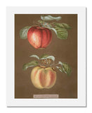 MFA Prints archival replica print artwork