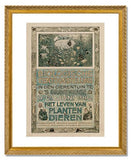 MFA Prints archival replica print of Theodorus van Hoytema, Biologische Tentoonstelling, 1910 from the Museum of Fine Arts, Boston collection.