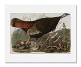 MFA Prints archival replica print artwork