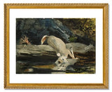 MFA Prints archival replica print of Winslow Homer, The Fallen Deer from the Museum of Fine Arts, Boston collection.