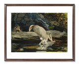 MFA Prints archival replica print of Winslow Homer, The Fallen Deer from the Museum of Fine Arts, Boston collection.