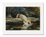 MFA Prints archival replica print of Winslow Homer, The Fallen Deer from the Museum of Fine Arts, Boston collection.