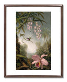 MFA Prints archival replica print of Martin Johnson Heade, Orchids and Spray Orchids with Hummingbirds from the Museum of Fine Arts, Boston collection.