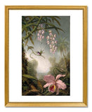 MFA Prints archival replica print of Martin Johnson Heade, Orchids and Spray Orchids with Hummingbirds from the Museum of Fine Arts, Boston collection.