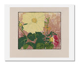 MFA Prints archival replica print of Edna Boies Hopkins, Yellow Dahlia from the Museum of Fine Arts, Boston collection.