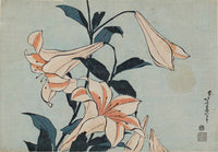 Katsushika Hokusai, Lilies, from an untitled series known as Large Flowers