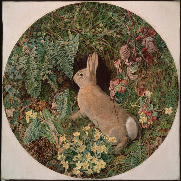 William J. Webbe, Rabbit amid Ferns and Flowering Plants