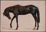 Albert Bierstadt, Black Horse