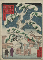 Ichiyōtei Yoshitaki, The Pine Tree of Priest Rennyo at Morinomiya (Morinomiya Rennyo-matsu), from the series One Hundred Views of Osaka (Naniwa hyakkei)