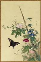 Oka Fuhō (Baikei), Butterfly and Morning Glory