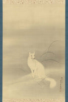 Mori Ippō, White Fox