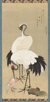 Hara Zaisei, Cranes and Long-Haired Turtles