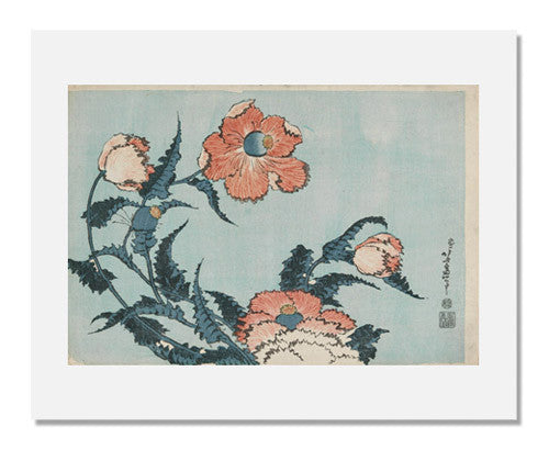 Katsushika Hokusai, Poppies | MFA Prints Katsushika Hokusai, Poppies | MFA Prints
