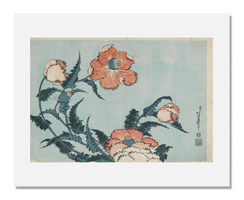 MFA Prints archival replica print of Katsushika Hokusai, Poppies from the Museum of Fine Arts, Boston collection.