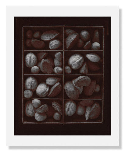 MFA Prints archival replica print of Olivia Parker, Mixed Nuts, Ephemera portfolio from the Museum of Fine Arts, Boston collection.