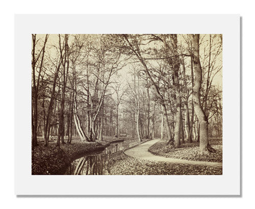 MFA Prints archival replica print of Charles Marville, Path in the Bois de Boulogne from the Museum of Fine Arts, Boston collection.