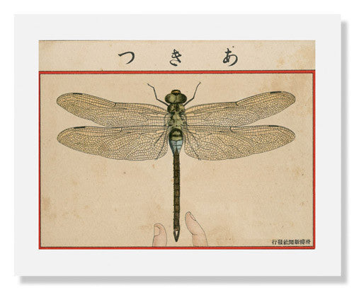 MFA Prints archival replica print of Dragon Fly from Ehagaki sekai from the Museum of Fine Arts, Boston collection.