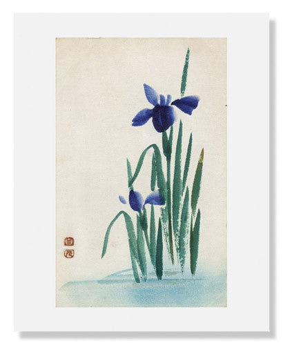 MFA Prints archival replica print of Irises from the Museum of Fine Arts, Boston collection.