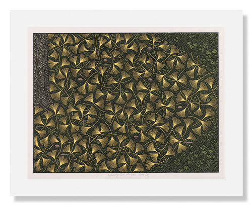 MFA Prints archival replica print of Jacques Hnizdovsky, Autumn Ginkgo Leaves from the Museum of Fine Arts, Boston collection.