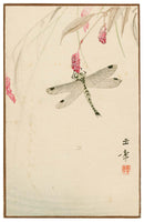 Kawabata Gyokushō, Dragonfly (Akitsu) from the series Sunbikai Cards by Gyokusho (Gyokusho sunga)