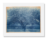 MFA Prints archival replica print of Arthur Wesley Dow, Blooming Tree from the Museum of Fine Arts, Boston collection.