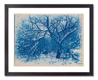 Arthur Wesley Dow, Tree in Winter