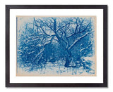Arthur Wesley Dow, Tree in Winter