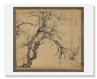 MFA Prints archival replica print of Yamamoto Baiitsu, Blossoming Plum Tree from the Museum of Fine Arts, Boston collection.