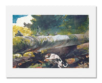 MFA Prints archival replica print of Winslow Homer, Hunting Dog among Dead Trees from the Museum of Fine Arts, Boston collection.