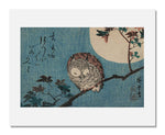 MFA Prints archival replica print of Utagawa Hiroshige I, Small Horned Owl on Maple Branch under Full Moon from the Museum of Fine Arts, Boston collection.
