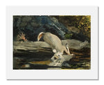 MFA Prints archival replica print of Winslow Homer, The Fallen Deer from the Museum of Fine Arts, Boston collection.