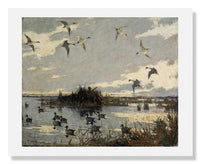 MFA Prints archival replica print of Frank Weston Benson, Pintails Decoyed from the Museum of Fine Arts, Boston collection.