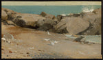 Winslow Homer, Rocky Coast and Gulls