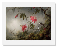 MFA Prints archival replica print of Martin Johnson Heade, Passion Flowers and Hummingbirds from the Museum of Fine Arts, Boston collection.