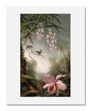 MFA Prints archival replica print of Martin Johnson Heade, Orchids and Spray Orchids with Hummingbirds from the Museum of Fine Arts, Boston collection.