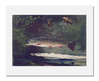 MFA Prints archival replica print of Winslow Homer, Trout Breaking from the Museum of Fine Arts, Boston collection.