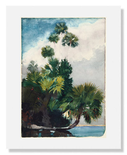 MFA Prints archival replica print of Winslow Homer, Palm Trees, Florida from the Museum of Fine Arts, Boston collection.