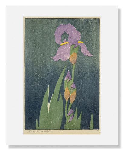 MFA Prints archival replica print of Edna Boies Hopkins, Iris from the Museum of Fine Arts, Boston collection.