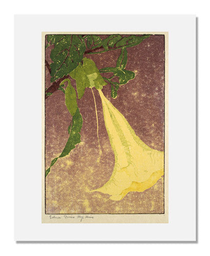 MFA Prints archival replica print of Edna Boies Hopkins, Datura from the Museum of Fine Arts, Boston collection.