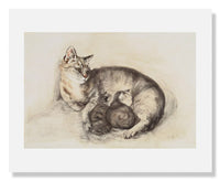 MFA Prints archival replica print of Ruth Spoor, Cat and Kittens ("Puddy') from the Museum of Fine Arts, Boston collection.