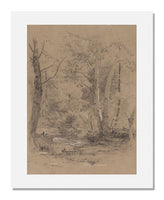 MFA Prints archival replica print of Jasper Francis Cropsey, Birch Trees Beside a Brook in the Woods, Conway, N.H. from the Museum of Fine Arts, Boston collection.