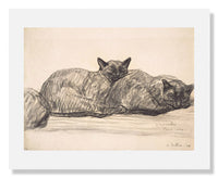 MFA Prints archival replica print of Théophile Alexandre Steinlen, Two Cats Sleeping from the Museum of Fine Arts, Boston collection.