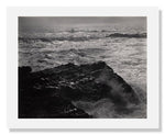 MFA Prints archival replica print of Edward Weston, Point Lobos from the Museum of Fine Arts, Boston collection.