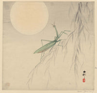 Ohara Koson, Praying Mantis and Full Moon