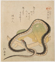 Totoya Hokkei, The Chomonjū: Snake and Melons, from the series Comparison of Japanese Books (Washo kurabe)